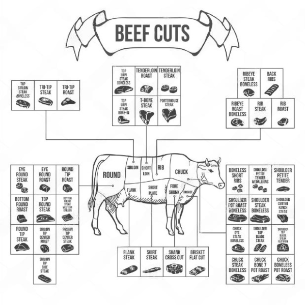 Different cuts of beef